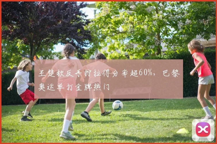 王楚钦反手拧拉得分率超60%，巴黎奥运单打金牌热门